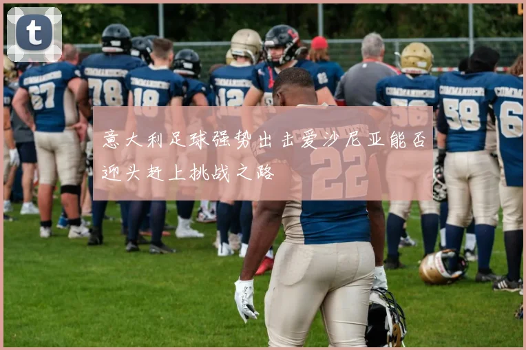 意大利足球强势出击爱沙尼亚能否迎头赶上挑战之路