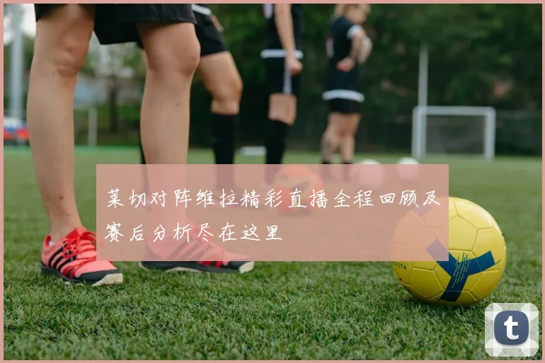 莱切对阵维拉精彩直播全程回顾及赛后分析尽在这里