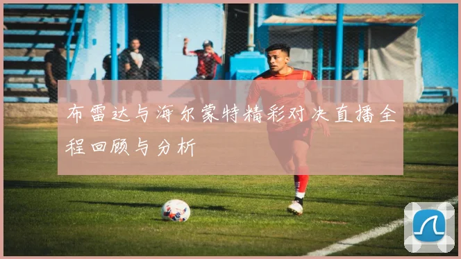 布雷达与海尔蒙特精彩对决直播全程回顾与分析