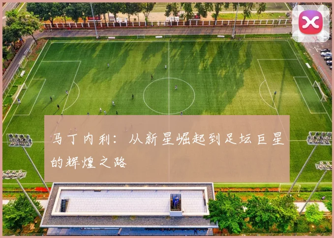 马丁内利：从新星崛起到足坛巨星的辉煌之路