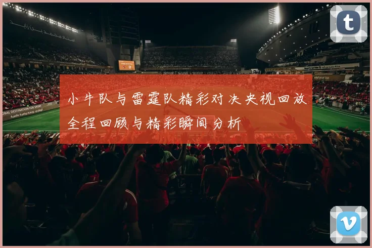 小牛队与雷霆队精彩对决央视回放全程回顾与精彩瞬间分析