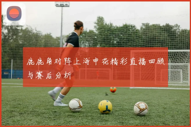 鹿鹿角对阵上海申花精彩直播回顾与赛后分析