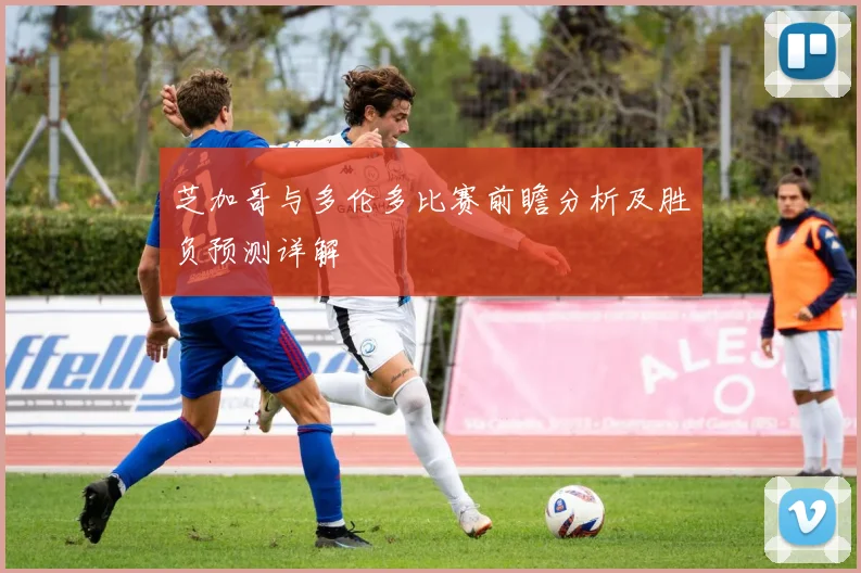 芝加哥与多伦多比赛前瞻分析及胜负预测详解