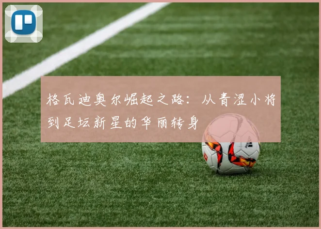 格瓦迪奥尔崛起之路:从青涩小将到足坛新星的华丽转身
