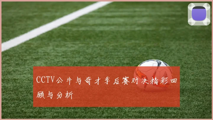 CCTV公牛与奇才季后赛对决精彩回顾与分析