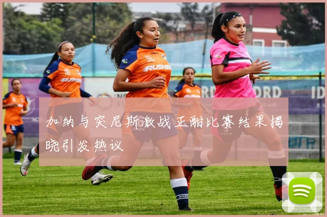 加纳与突尼斯激战正酣比赛结果揭晓引发热议