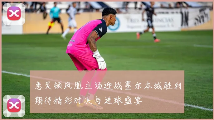 惠灵顿凤凰主场迎战墨尔本城胜利期待精彩对决与进球盛宴