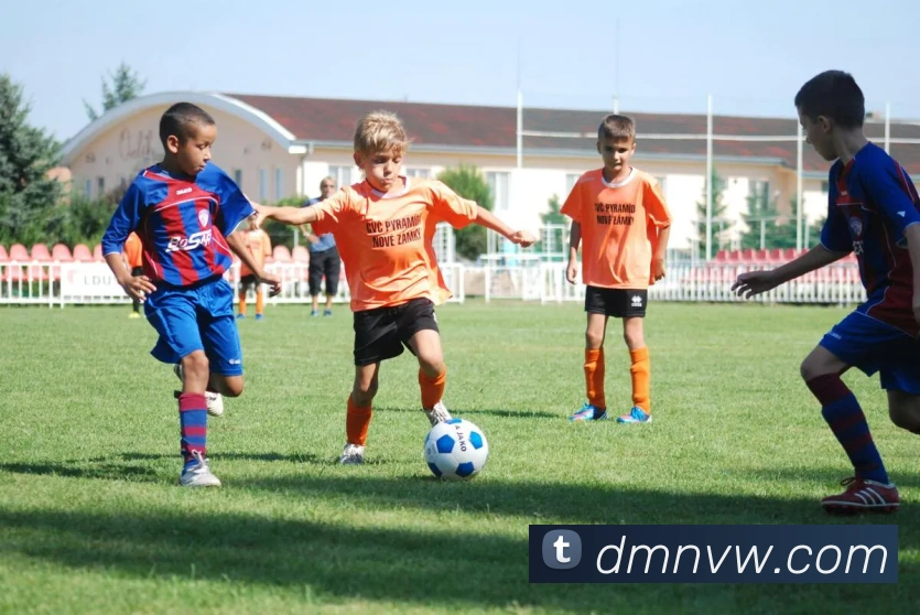 数据防护可视化